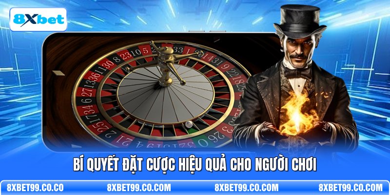 Bí quyết đặt cược hiệu quả cho người chơi