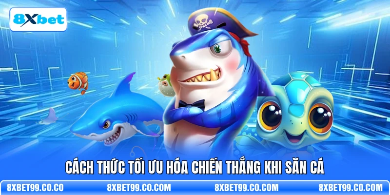 Cách thức tối ưu hóa chiến thắng khi săn cá