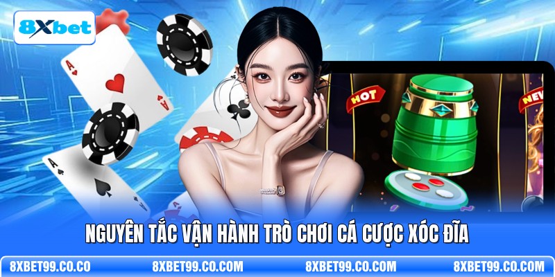 Nguyên tắc vận hành trò chơi cá cược xóc đĩa