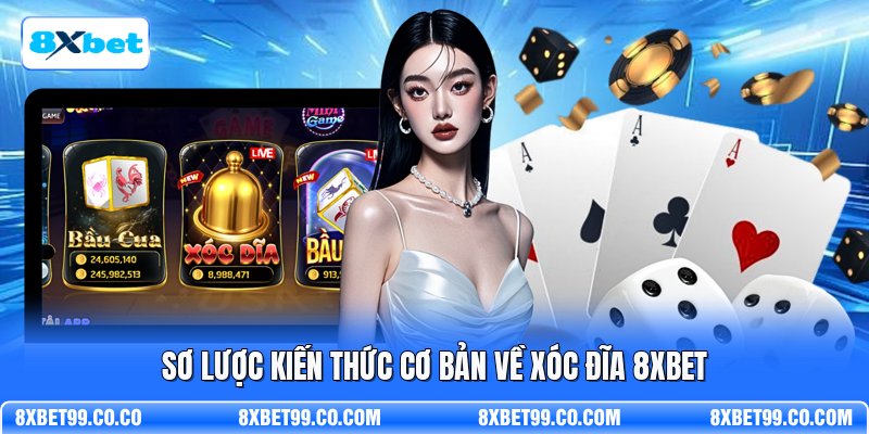 Sơ lược kiến thức cơ bản về xóc đĩa 8XBET