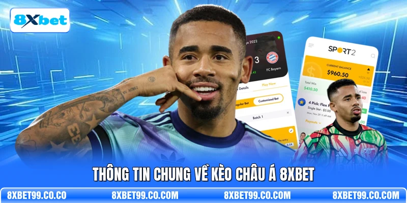 Thông tin chung về kèo châu Á 8XBET